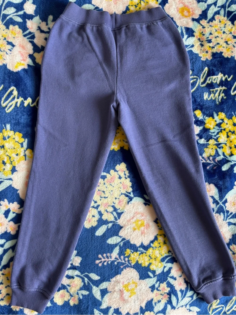 The North Face Kids Cove Blue/Purple  Jogger Sweatpants | Size: Girls 7/8